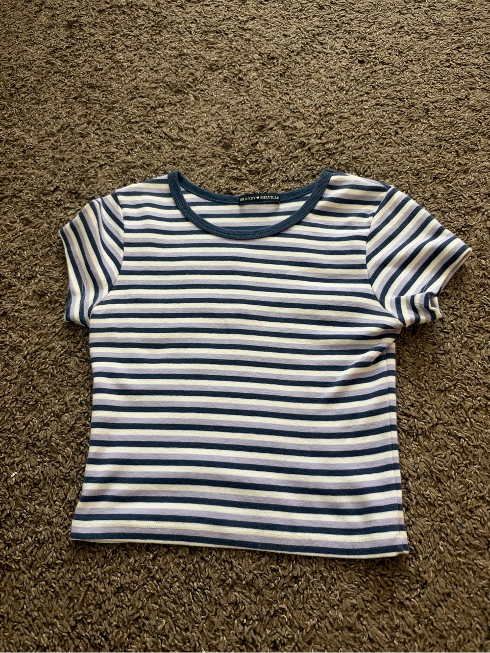 Brandy Melville Navy & White Striped Short Sleeve Tee